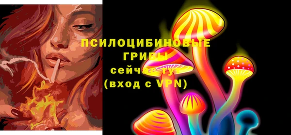 дживик Белоозёрский